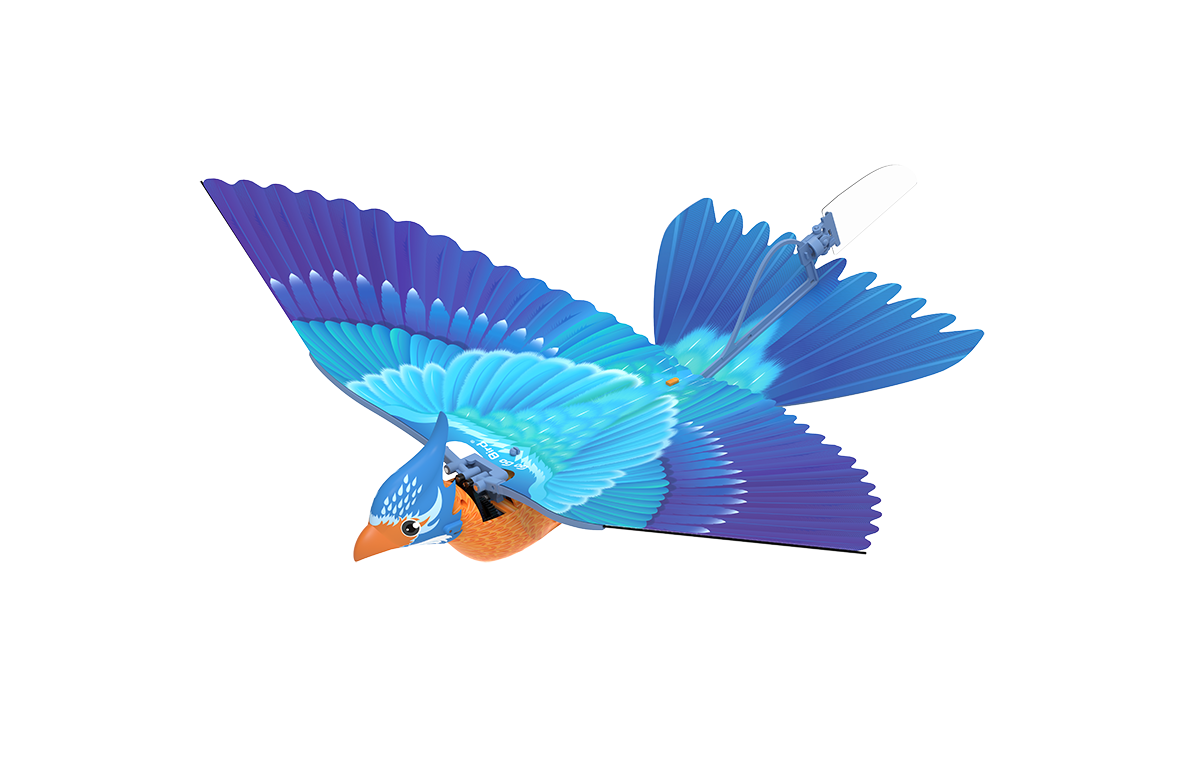 GoGoBird青鸞