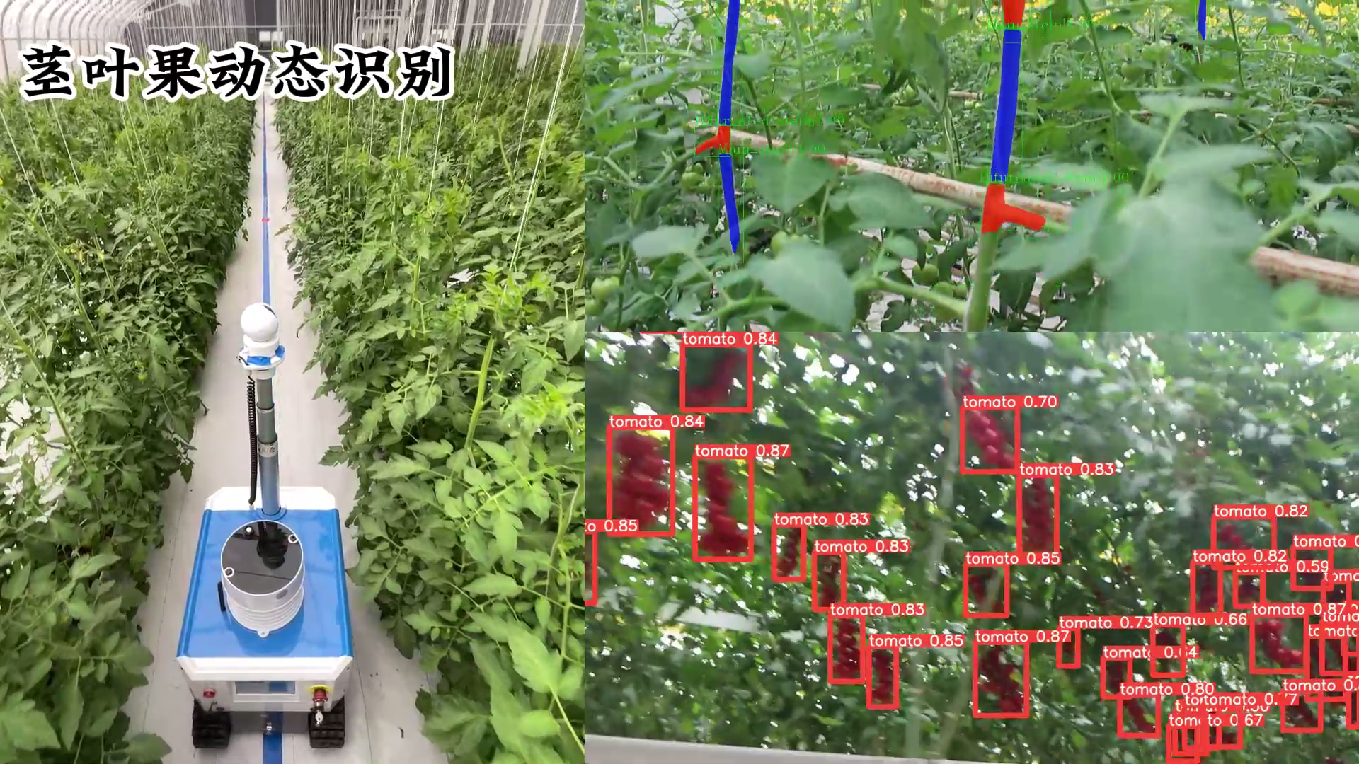 溫室生產(chǎn)巡檢機器人