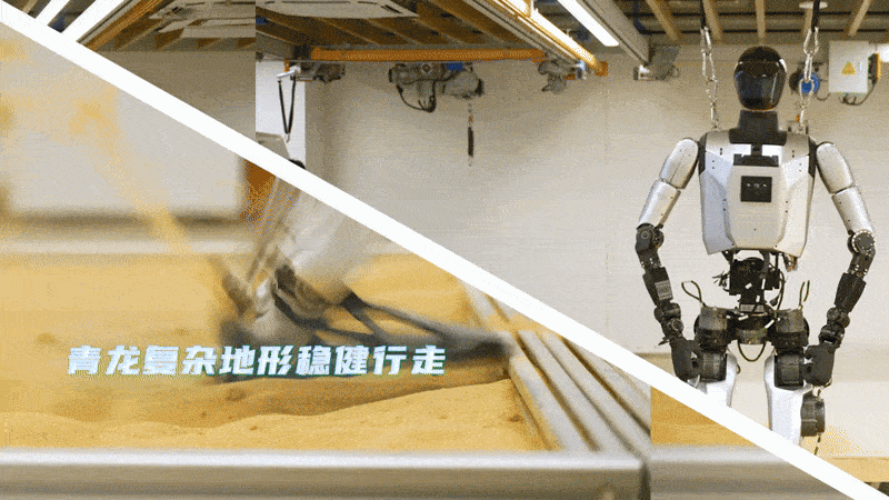 龍.gif